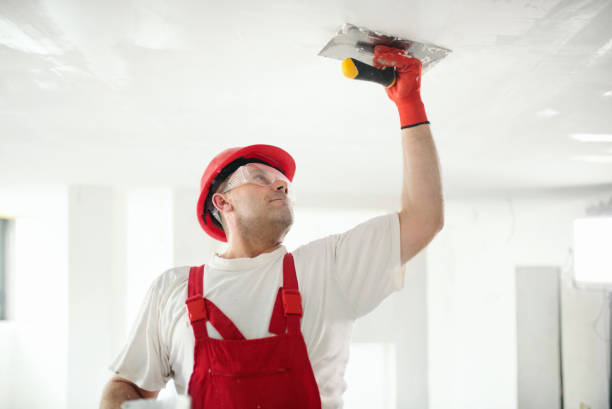 Professional Mold Removal in Huntertown, IN